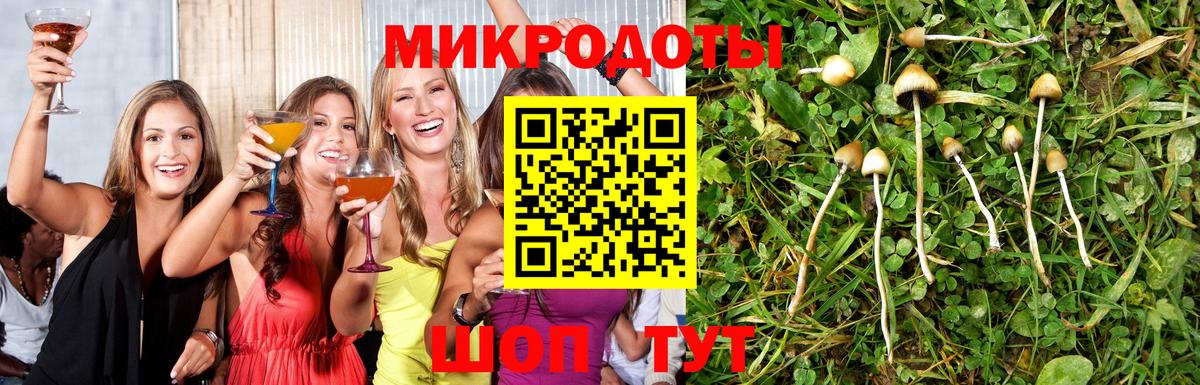 Псилоцибиновые грибы прущие грибы Киселёвск