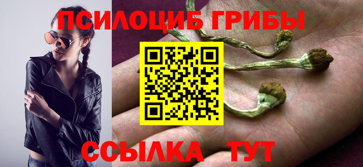 Галлюциногенные грибы мицелий  Вход с VPN  Киселёвск 