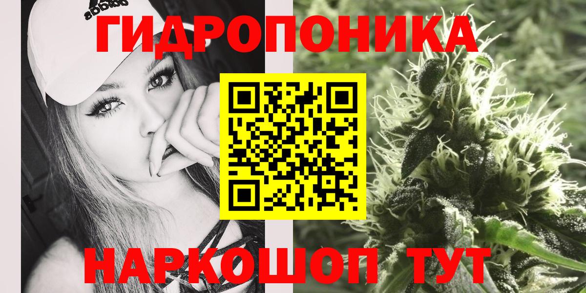 Бошки марихуана THC 21%  Вход с VPN  Киселёвск  Бошки Шишки SATIVA & INDICA 